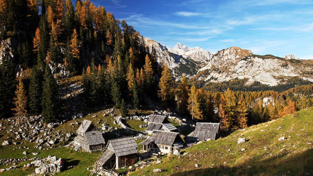 Apartments Bohinjskih 7 Eksteriør bilde